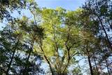 00004 Windridge Lane - Photo 15