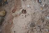 00004 Windridge Lane - Photo 16