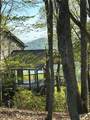 141 Wood Fern Knoll - Photo 4