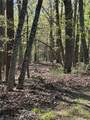 141 Wood Fern Knoll - Photo 6