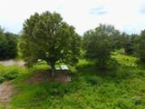 2536 Brindle Farmer Road - Photo 11