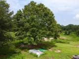 2536 Brindle Farmer Road - Photo 12