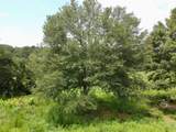 2536 Brindle Farmer Road - Photo 13