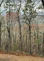 437 Mccurry Trail - Photo 2