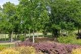 7267 Grand Reunion Drive - Photo 8