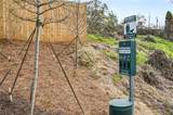 1160 Boulevard - Photo 34