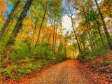 500 Big Sky Trail - Photo 15