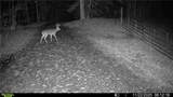 500 Big Sky Trail - Photo 19