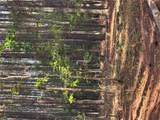 0 Conger Road - Photo 10