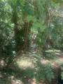 0 Magnolia - Photo 1