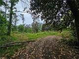 4699 Buckhorn Trail - Photo 2