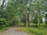 4699 Buckhorn Trail - Photo 9