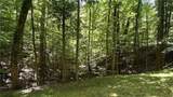 3641 Frederica Road - Photo 1
