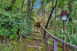 15 Imperial Lane - Photo 47