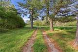 6668 Belton Bridge Road - Photo 16