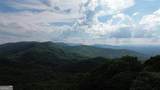 93 Bear Track Trail - Photo 2