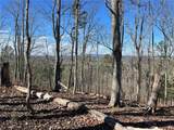 0A Johnson Lake Road #0A - Photo 10