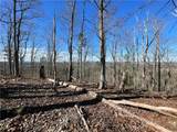 0A Johnson Lake Road #0A - Photo 11