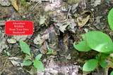 00001 Wilson Road - Photo 10