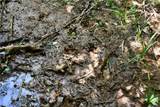 00001 Wilson Road - Photo 16