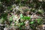 00001 Wilson Road - Photo 25