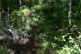 00001 Wilson Road - Photo 29