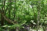 00001 Wilson Road - Photo 31