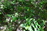 00001 Wilson Road - Photo 33