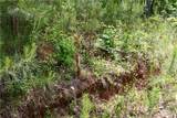 00001 Wilson Road - Photo 39