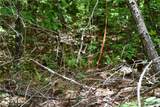 00001 Wilson Road - Photo 41