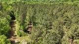 00001 Wilson Road - Photo 75