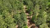 00001 Wilson Road - Photo 83