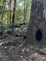 3A Turniptown Road - Photo 50