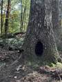 3A Turniptown Road - Photo 51