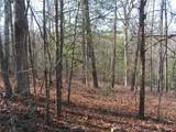 0 Mount Pleasant Church Road - Photo 2