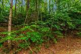 Lot 9 Laurel Creek Trail - Photo 15