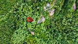 Lot 9 Laurel Creek Trail - Photo 19