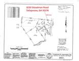 3230 Steadman Road - Photo 53