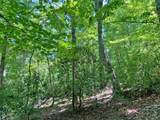 0 Hickory Nut Trail - Photo 2