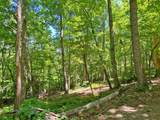 0 Hickory Nut Trail - Photo 3