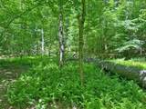 0 Hickory Nut Trail - Photo 4