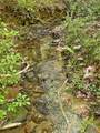 0 Hickory Nut Trail - Photo 5