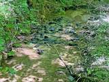0 Hickory Nut Trail - Photo 6