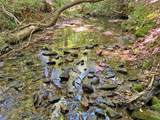0 Hickory Nut Trail - Photo 7