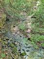 0 Hickory Nut Trail - Photo 8