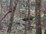 1806 Browning Road - Photo 46