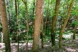 Lot 26 Estates Drive - Photo 4