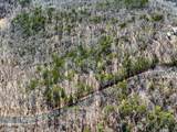 0 Outback Road - Photo 8