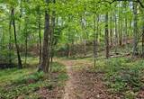 5731 Five Notch Trail - Photo 30