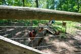 5945 Hopewell Road - Photo 52